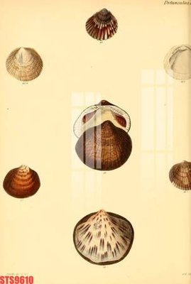 File tranh Tranh sơn dầu phương tây tổng hợp STS9610 (gốc) chủ đề trừu tượng