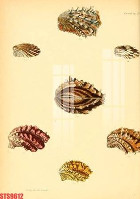 File tranh Tranh sơn dầu phương tây tổng hợp STS9612 (file gốc) chủ đề phong thủy