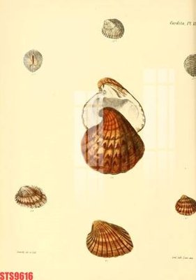 File PSD Tranh sơn dầu phương tây tổng hợp STS9616 (nguyên gốc) chất lượng cao