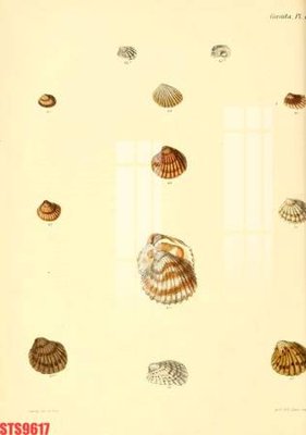 File gốc Tranh sơn dầu phương tây tổng hợp STS9617 (cho in ấn) độc quyền