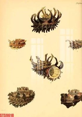 Tải file Tranh sơn dầu phương tây tổng hợp STS9618 (PSD) cho in ấn quảng cáo