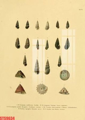 File tranh gốc Tranh sơn dầu phương tây tổng hợp STS9634 (bản quyền) file PSD