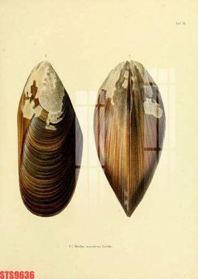 Tải file Tranh sơn dầu phương tây tổng hợp STS9636 (ảnh gốc) in gạch 3D