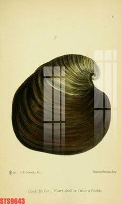 File tranh Tranh sơn dầu phương tây tổng hợp STS9643 (gốc) chủ đề trẻ em