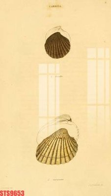 File tranh Tranh sơn dầu phương tây tổng hợp STS9653 (ảnh gốc) sắc nét hoàn hảo