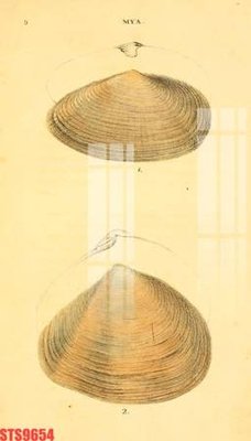 File tranh gốc PSD Tranh sơn dầu phương tây tổng hợp STS9654 còn nguyên layer