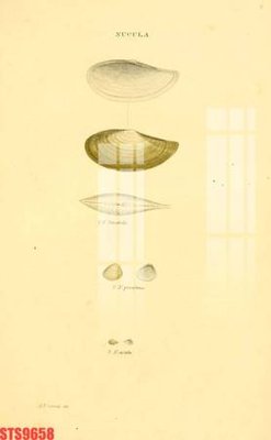 File in trần Tranh sơn dầu phương tây tổng hợp STS9658 (bản gốc) bầu trời