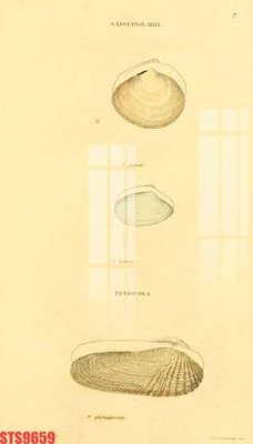 Tải file gốc Tranh sơn dầu phương tây tổng hợp STS9659 (bản PSD) còn layer