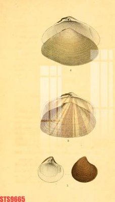 Tải file Tranh sơn dầu phương tây tổng hợp STS9665 (ảnh gốc) in tranh kính