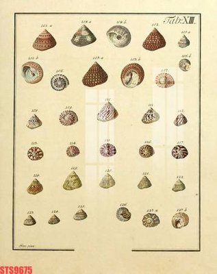 File tranh Tranh sơn dầu phương tây tổng hợp STS9675 (gốc) in backlit film