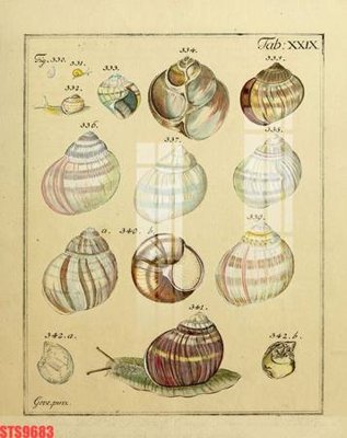 Mua file gốc Tranh sơn dầu phương tây tổng hợp STS9683 (in ấn) tại Filetranh.com