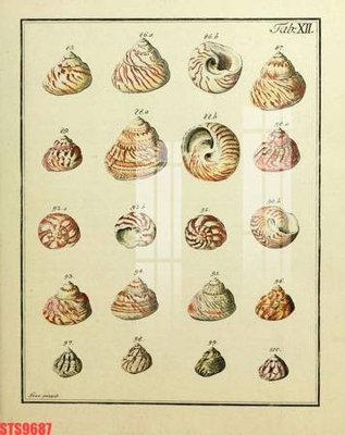 File tranh in trần 3D Tranh sơn dầu phương tây tổng hợp STS9687 (ảnh gốc)