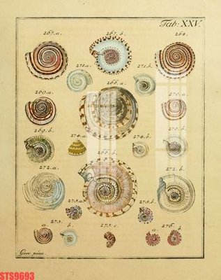 File in ấn Tranh sơn dầu phương tây tổng hợp STS9693 (bản gốc) chất lượng cao