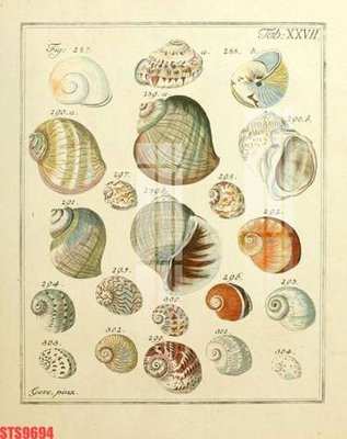 Tải file Tranh sơn dầu phương tây tổng hợp STS9694 (gốc) để in ấn ngay