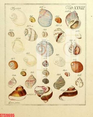 File gốc Tranh sơn dầu phương tây tổng hợp STS9695 (Filetranh.com) Tranh sơn dầu phương tây tổng hợp STS9695