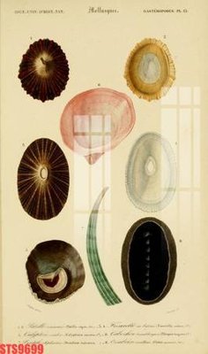 File in ấn Tranh sơn dầu phương tây tổng hợp STS9699 (bản gốc) cao cấp