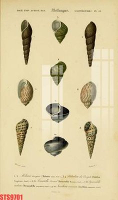 Download file tranh PSD Tranh sơn dầu phương tây tổng hợp STS9701 để chỉnh sửa