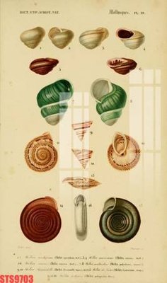 Tải về file gốc Tranh sơn dầu phương tây tổng hợp STS9703 (dùng cho in quảng cáo)