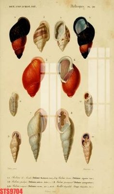 File tranh Tranh sơn dầu phương tây tổng hợp STS9704 (bản gốc) treo phòng ăn