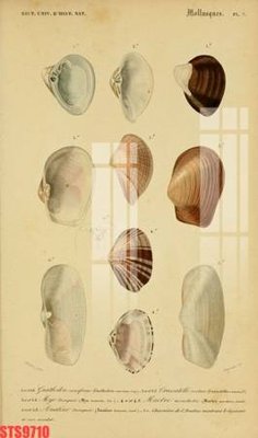 File gốc Tranh sơn dầu phương tây tổng hợp STS9710 (cho in ấn) độc quyền