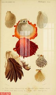 File in ấn Tranh sơn dầu phương tây tổng hợp STS9713 chuyên nghiệp