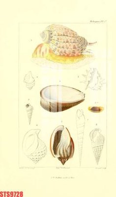 Tải file gốc Tranh sơn dầu phương tây tổng hợp STS9728 (bản PSD) còn layer