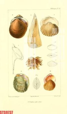 Chi tiết file ảnh Tranh sơn dầu phương tây tổng hợp STS9737 sắc nét