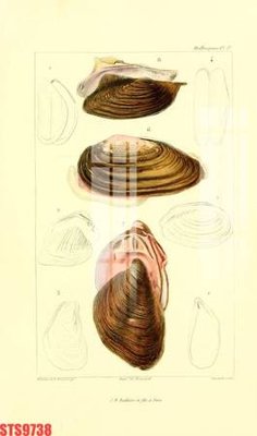 File gốc Tranh sơn dầu phương tây tổng hợp STS9738 (cho in ấn) độc quyền