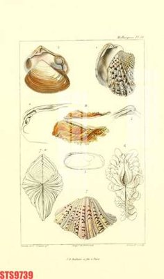 Tải file Tranh sơn dầu phương tây tổng hợp STS9739 (PSD) cho in tranh kính