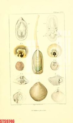 File tranh Tranh sơn dầu phương tây tổng hợp STS9746 (gốc) in trên kính