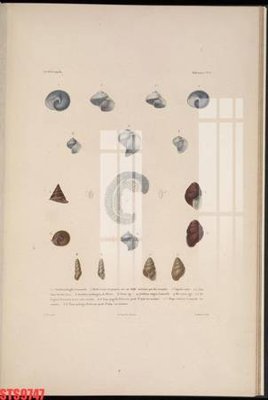 File tranh gốc Tranh sơn dầu phương tây tổng hợp STS9747 (bản quyền) Filetranh.com