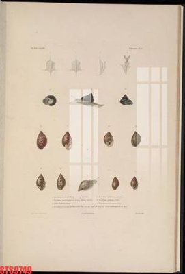 Tệp tin gốc Tranh sơn dầu phương tây tổng hợp STS9749 (chất lượng cao) Tranh sơn dầu phương tây tổng hợp STS9749