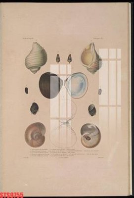 File gốc Tranh sơn dầu phương tây tổng hợp STS9755 (cho in UV) siêu nét