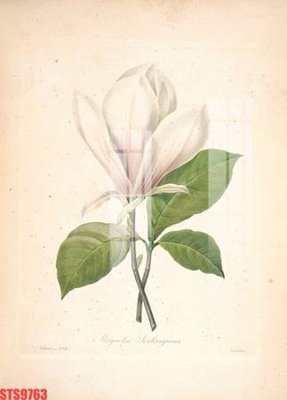 Tệp tin gốc Tranh sơn dầu phương tây tổng hợp STS9763 (chất lượng cao) Tranh sơn dầu phương tây tổng hợp STS9763