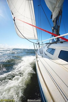 File gốc File thuận buồm xuôi gió TB134 (cho in ấn) độc quyền