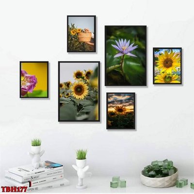 Tệp tin gốc File tranh bộ 6 tấm hoa sen hoa hướng dương TBH177 (chất lượng) File tranh bộ 6 tấm hoa sen hoa hướng dương TBH177