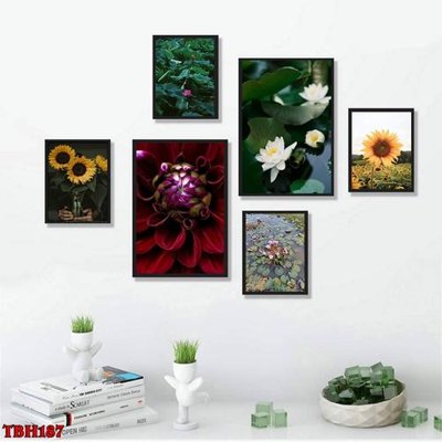 File gốc in ấn File tranh bộ 6 tấm hoa sen hoa hướng dương TBH187 độ phân giải cao