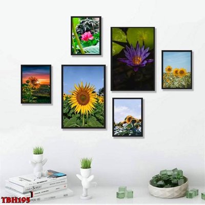 Tải về file tranh gốc File tranh bộ 6 tấm hoa sen hoa hướng dương TBH195 (để in quảng cáo)