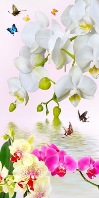 Download file File tranh đứng lối vào TD2077 (chất lượng in ấn)