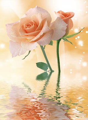 File gốc File tranh đứng lối vào TD2120 (ảnh rõ nét) để in