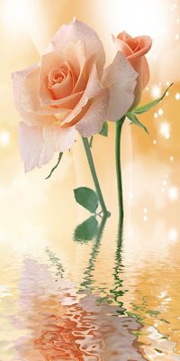 File tranh File tranh đứng lối vào TD2304 (ảnh gốc) độc quyền