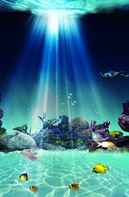 Hình ảnh file gốc File tranh đứng lối vào TD2422 cho in UV