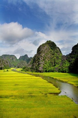 Tải file File tranh đứng lối vào TD2454 (PSD) cho in tranh 3D