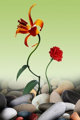 File tranh File tranh đứng lối vào TD2766 (ảnh gốc) sắc nét hoàn hảo