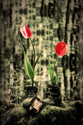 File tranh quảng cáo File tranh đứng lối vào TD2776 (download file gốc)