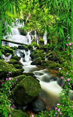 File PSD File tranh đứng lối vào TD2793 (bản gốc) chất lượng nhất