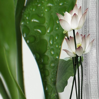 Tải file gốc File tranh đứng lối vào TD2805 (in tráng gương) cao cấpFile gốc File tranh đứng lối vào TD2805 (in ấn) phiên bản độc quyền