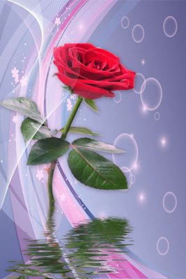 Tải về file gốc File tranh đứng lối vào TD2815 (dùng cho in quảng cáo)