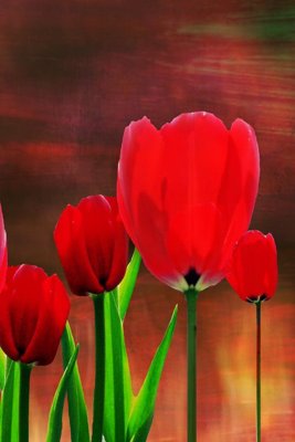 Tải file tranh gốc File tranh đứng lối vào TD2826 chất lượng cao