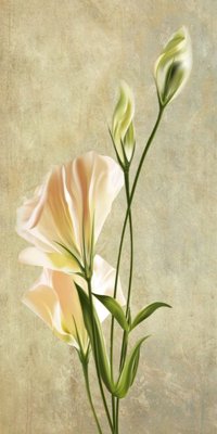 File in trần File tranh đứng lối vào TD2832 (bản gốc) mây trời